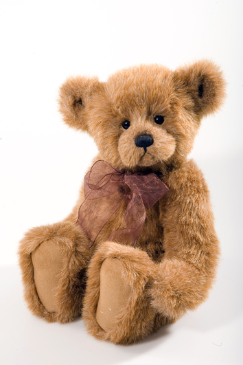 Matthew Bear