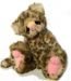 Kaycee Bears Izzy